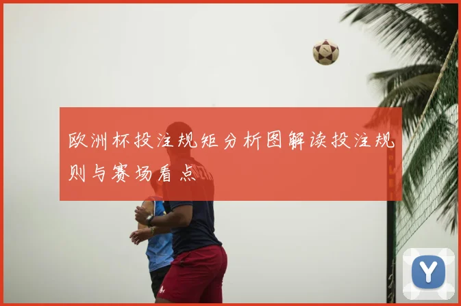 欧洲杯投注规矩分析图解读投注规则与赛场看点