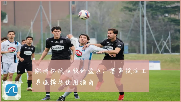 欧洲杯投注软件盘点:赛事投注工具选择与使用指南